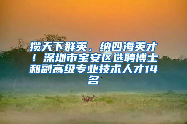 揽天下群英，纳四海英才！深圳市宝安区选聘博士和副高级专业技术人才14名