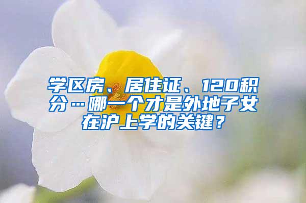 学区房、居住证、120积分…哪一个才是外地子女在沪上学的关键？