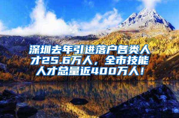 深圳去年引进落户各类人才25.6万人，全市技能人才总量近400万人！