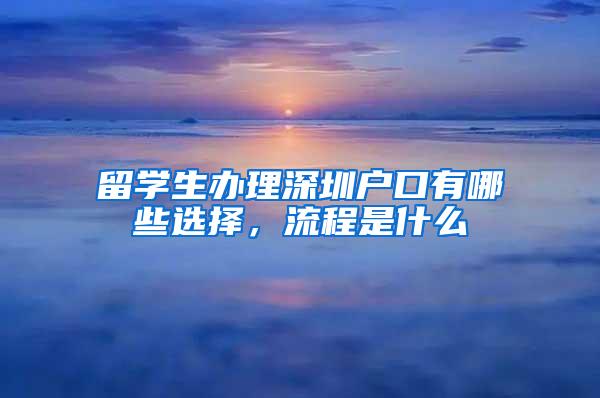 留学生办理深圳户口有哪些选择，流程是什么