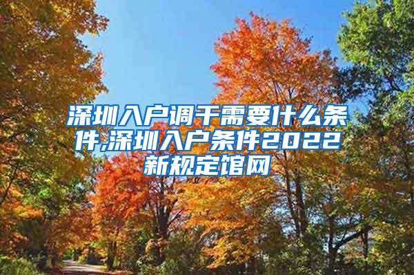 深圳入户调干需要什么条件,深圳入户条件2022新规定馆网