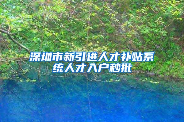 深圳市新引进人才补贴系统人才入户秒批