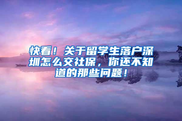 快看！关于留学生落户深圳怎么交社保，你还不知道的那些问题！