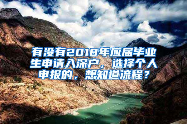 有没有2018年应届毕业生申请入深户，选择个人申报的，想知道流程？