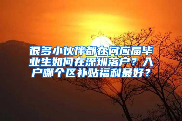 很多小伙伴都在问应届毕业生如何在深圳落户？入户哪个区补贴福利最好？