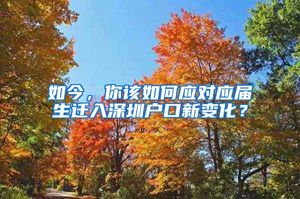 如今，你该如何应对应届生迁入深圳户口新变化？