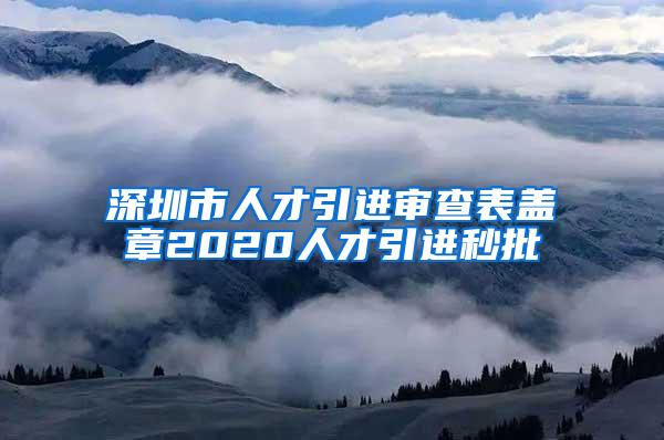 深圳市人才引进审查表盖章2020人才引进秒批