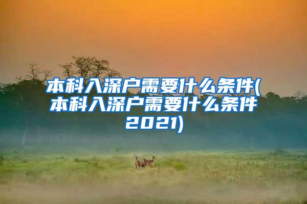 本科入深户需要什么条件(本科入深户需要什么条件2021)