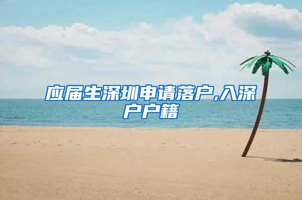 应届生深圳申请落户,入深户户籍