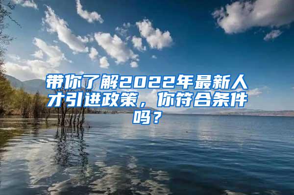 带你了解2022年最新人才引进政策，你符合条件吗？