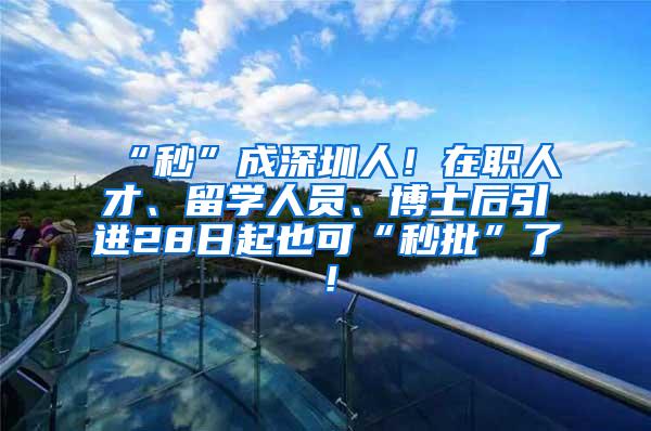 “秒”成深圳人！在职人才、留学人员、博士后引进28日起也可“秒批”了！