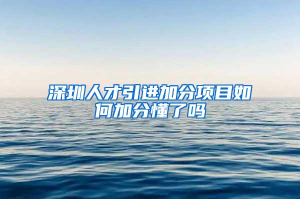 深圳人才引进加分项目如何加分懂了吗