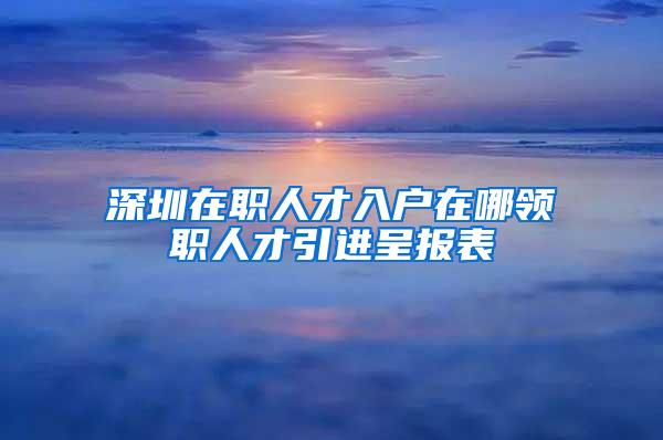 深圳在职人才入户在哪领职人才引进呈报表