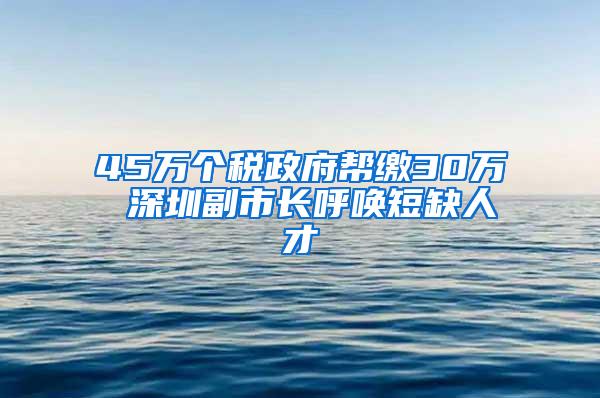 45万个税政府帮缴30万 深圳副市长呼唤短缺人才