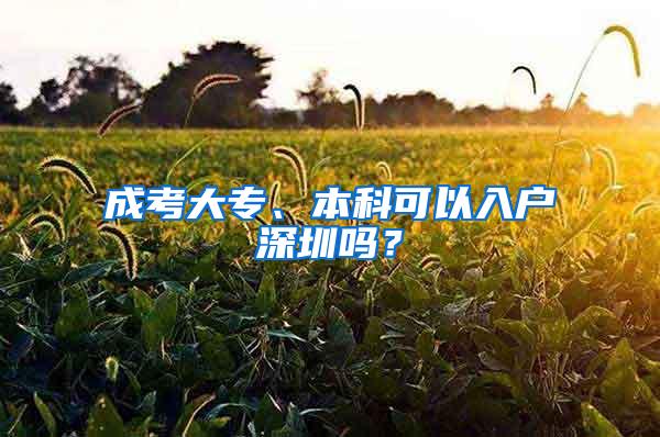 成考大专、本科可以入户深圳吗？