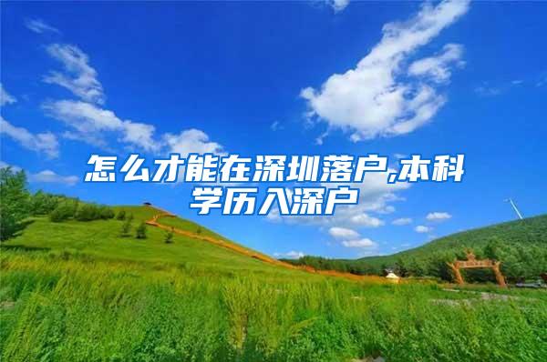 怎么才能在深圳落户,本科学历入深户