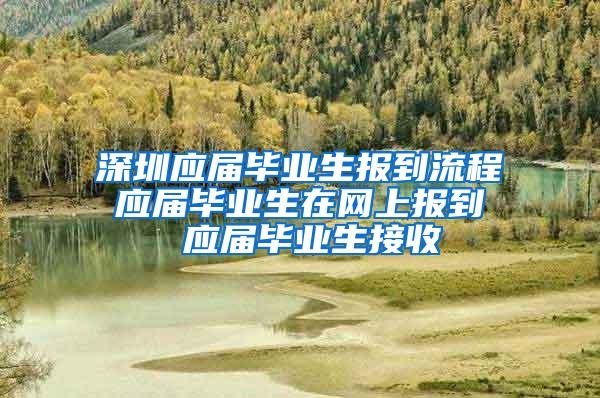 深圳应届毕业生报到流程 应届毕业生在网上报到  应届毕业生接收