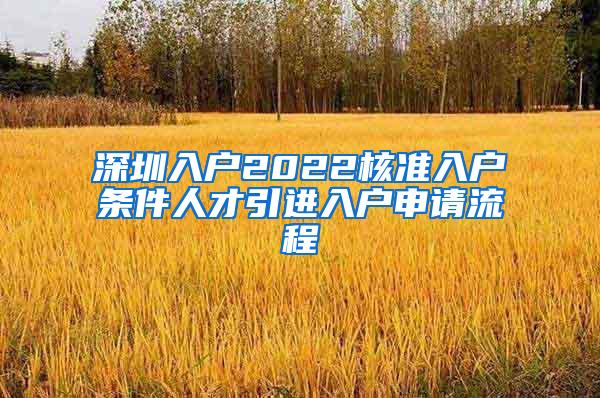 深圳入户2022核准入户条件人才引进入户申请流程