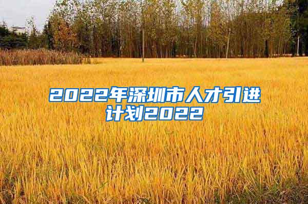 2022年深圳市人才引进计划2022