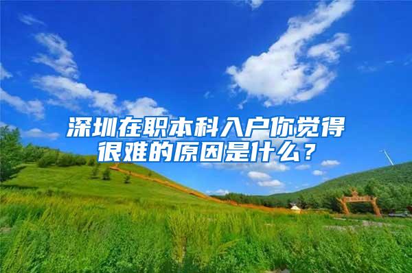 深圳在职本科入户你觉得很难的原因是什么？