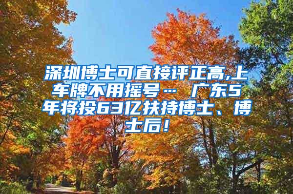 深圳博士可直接评正高,上车牌不用摇号… 广东5年将投63亿扶持博士、博士后！