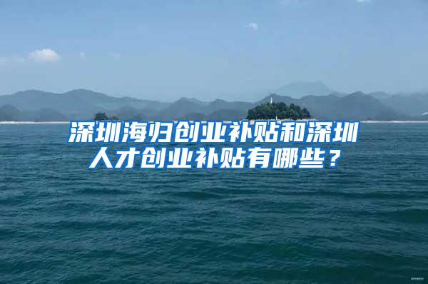 深圳海归创业补贴和深圳人才创业补贴有哪些？