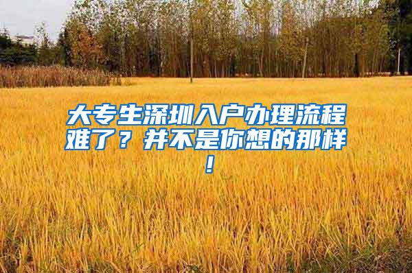 大专生深圳入户办理流程难了？并不是你想的那样！