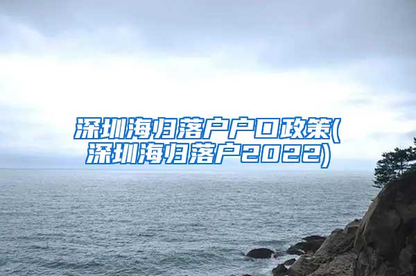 深圳海归落户户口政策(深圳海归落户2022)