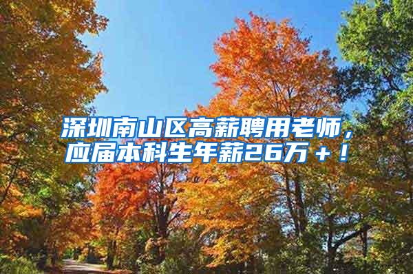 深圳南山区高薪聘用老师，应届本科生年薪26万＋！