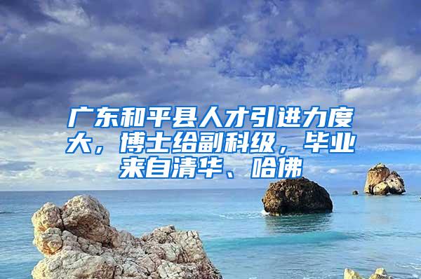 广东和平县人才引进力度大，博士给副科级，毕业来自清华、哈佛