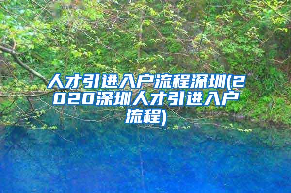 人才引进入户流程深圳(2020深圳人才引进入户流程)