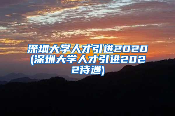 深圳大学人才引进2020(深圳大学人才引进2022待遇)