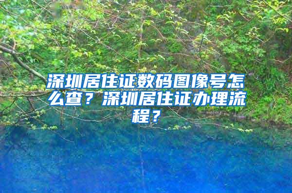 深圳居住证数码图像号怎么查？深圳居住证办理流程？