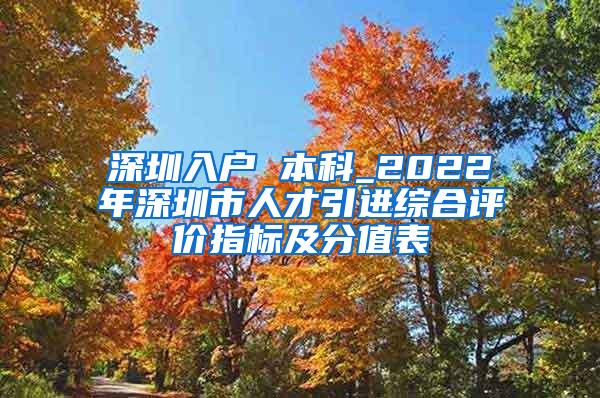 深圳入户 本科_2022年深圳市人才引进综合评价指标及分值表