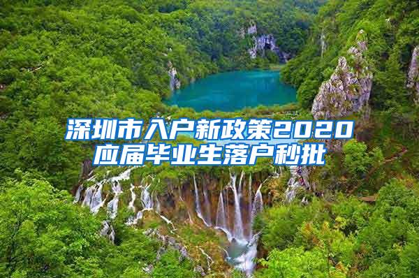 深圳市入户新政策2020应届毕业生落户秒批