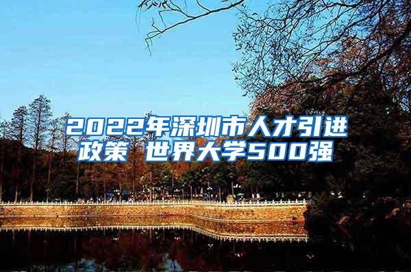 2022年深圳市人才引进政策 世界大学500强