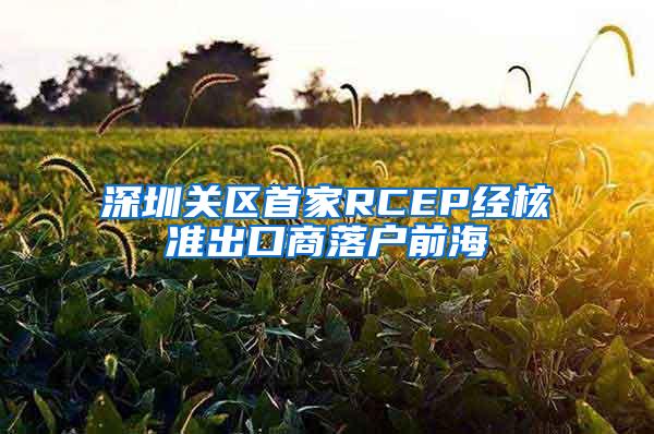 深圳关区首家RCEP经核准出口商落户前海