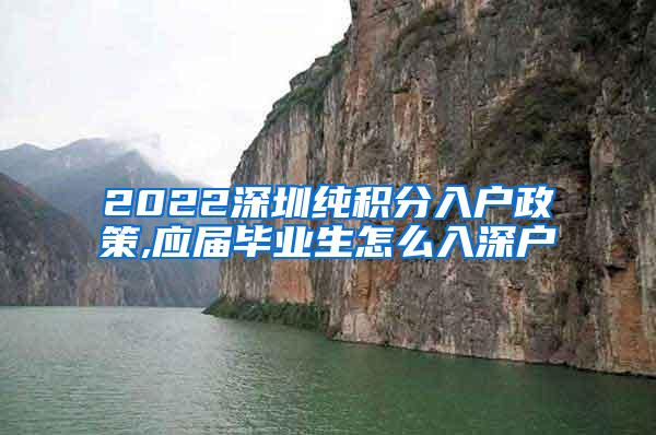 2022深圳纯积分入户政策,应届毕业生怎么入深户