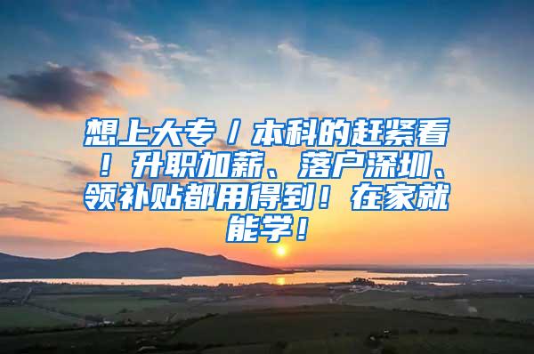 想上大专／本科的赶紧看！升职加薪、落户深圳、领补贴都用得到！在家就能学！