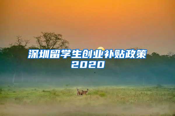 深圳留学生创业补贴政策2020