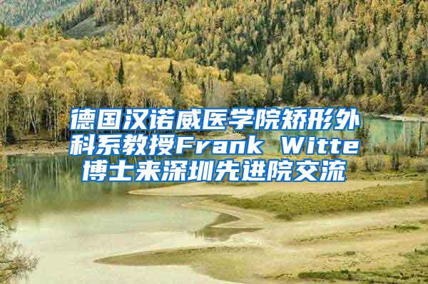 德国汉诺威医学院矫形外科系教授Frank Witte博士来深圳先进院交流