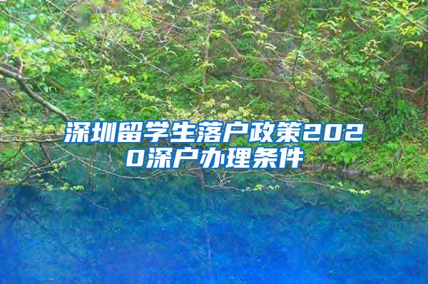 深圳留学生落户政策2020深户办理条件