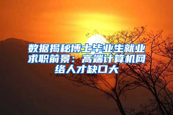 数据揭秘博士毕业生就业求职前景：高端计算机网络人才缺口大