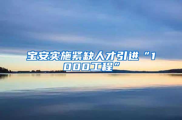 宝安实施紧缺人才引进“1000工程”