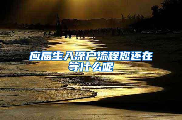 应届生入深户流程您还在等什么呢