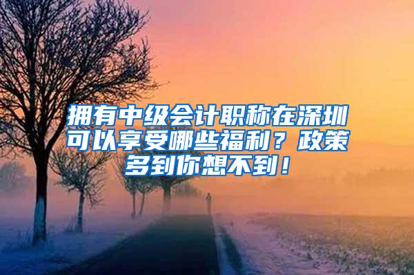 拥有中级会计职称在深圳可以享受哪些福利？政策多到你想不到！