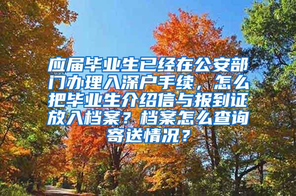 应届毕业生已经在公安部门办理入深户手续，怎么把毕业生介绍信与报到证放入档案？档案怎么查询寄送情况？