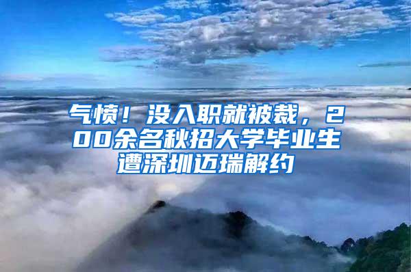 气愤！没入职就被裁，200余名秋招大学毕业生遭深圳迈瑞解约