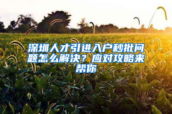 深圳人才引进入户秒批问题怎么解决？应对攻略来帮你