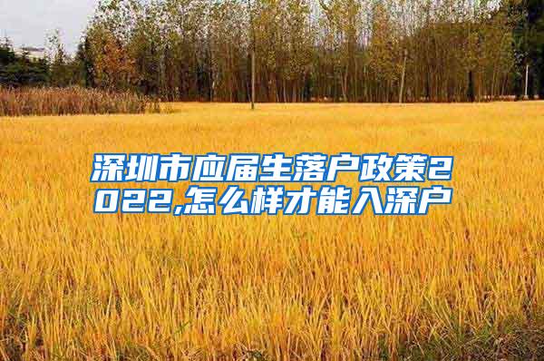 深圳市应届生落户政策2022,怎么样才能入深户